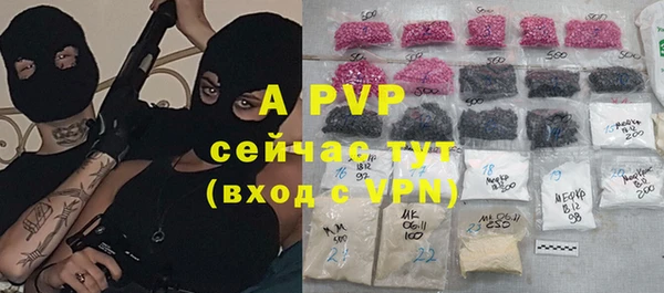 ПСИЛОЦИБИНОВЫЕ ГРИБЫ Осинники