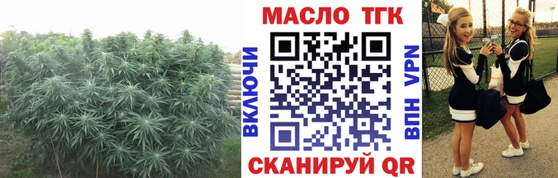 как найти наркотики  МЕГА ССЫЛКА  Дистиллят ТГК жижа  Курчатов 