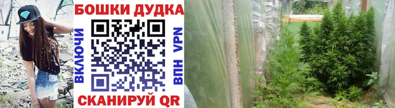 Конопля тримм  hydra   shop какой сайт  Курчатов 